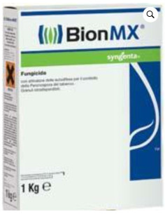 BION MX